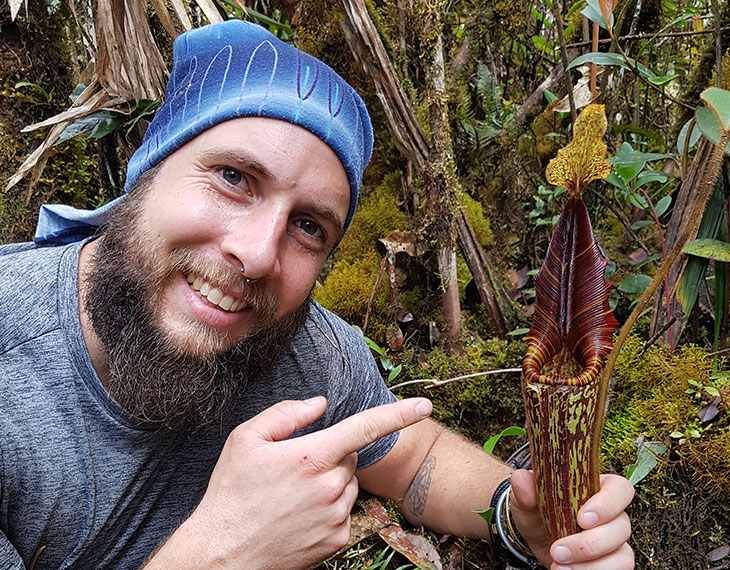 Matze Green Jaws Nepenthes Borneo