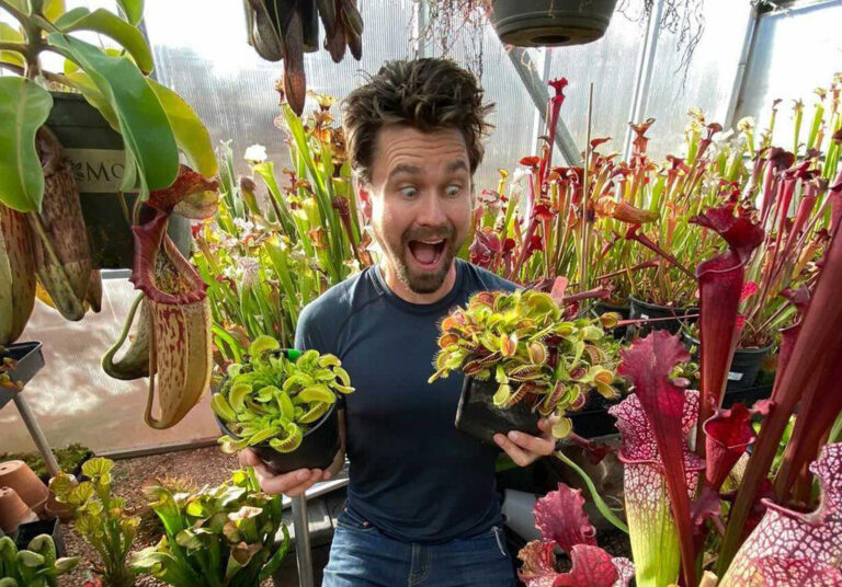 Jeremiah Harris Carnivorous Plants
