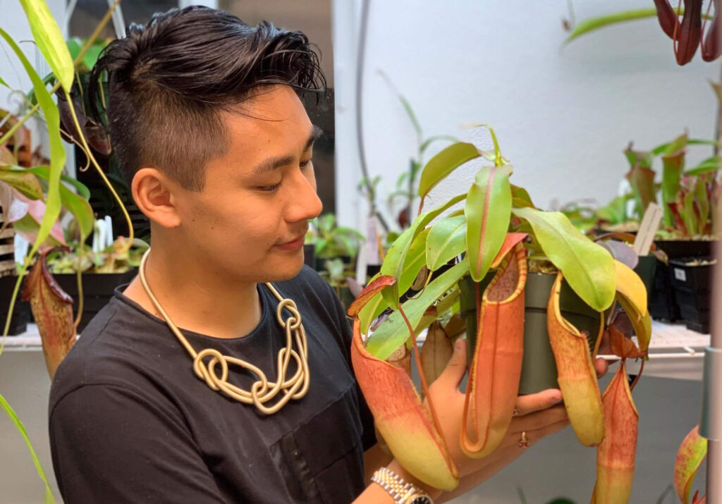 Micheal Kong with giant pitcher plant