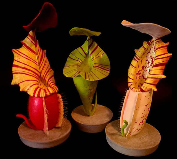 Shakim Cooper Nepenthes Sculptures Carnivorous Plant Art