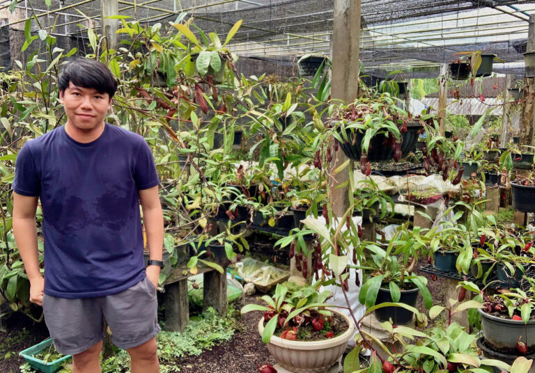 Ton Sunya Krabi Carnivore
