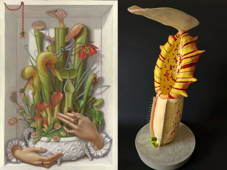 Carnivorous plant art you must have seen!